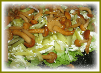 salat-s-marinovannymi-opiatami