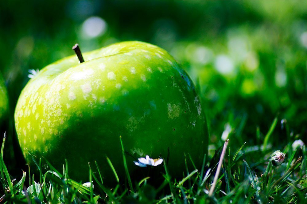 Диета без вреда здоровью: польза яблок