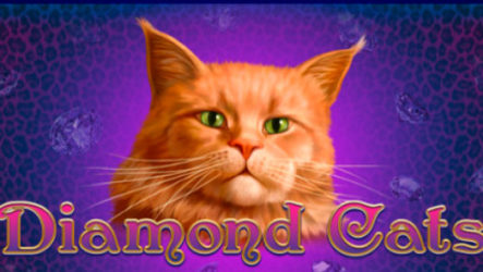 Подробный обзор бесплатного игрового автомата Diamond Cats