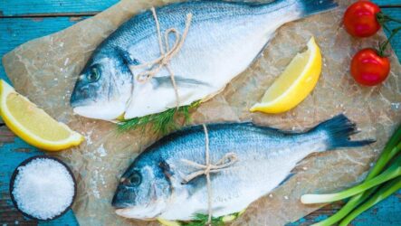 Полезные рекомендации по выбору и приготовлению рыбы