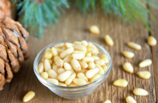 Кедровые орехи: польза и вред для организма, полезные свойства и противопоказания