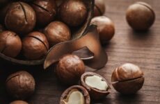 Орехи макадамия: польза и вред для организма, сколько нужно съесть