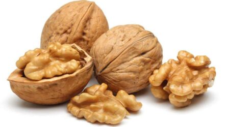 Витаминно-минеральный состав грецких орехов: польза и вред, рекомендации по употреблению