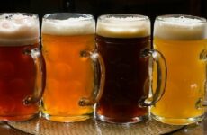 Пиво эль – понятие, виды, отличия, культура употребления