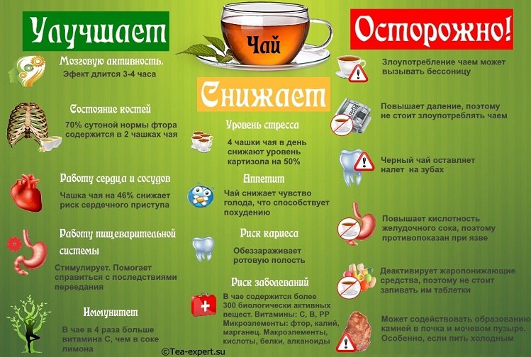 Полезные свойства чая для здоровья