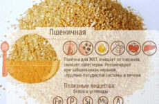 Пшеничная каша: состав, польза и вред для здоровья, как варить